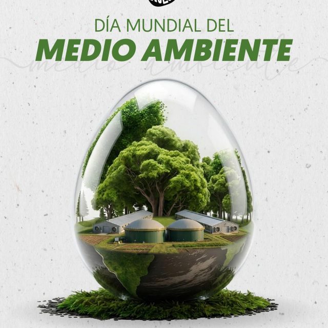Feliz día del medio ambiente 🤩✨🍳