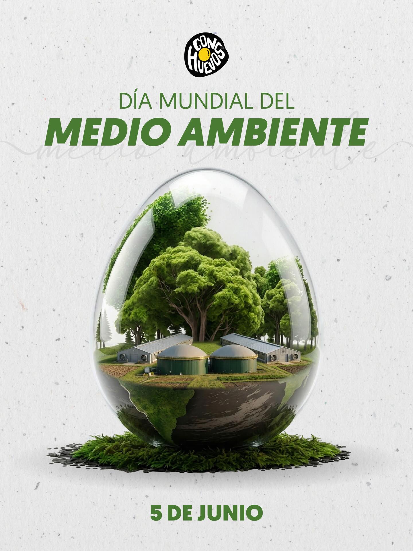 Feliz día del medio ambiente 🤩✨🍳