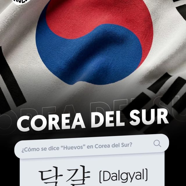 No importa el idioma, el mundial se vive con huevos 😎⚽️✨🙌🏼🍳

Si quieres probar unos deliciosos HUEVOS MAYAK, visita nuestro sitio web y encuentra la receta www.conhuevos.com.sv ✨