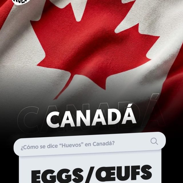 Tarta Flapper 🇨🇦😋✨🍳 un delicioso postre con huevos, al estilo canadiense. 

Encuentra la receta en www.conhuevos.com.sv ✨