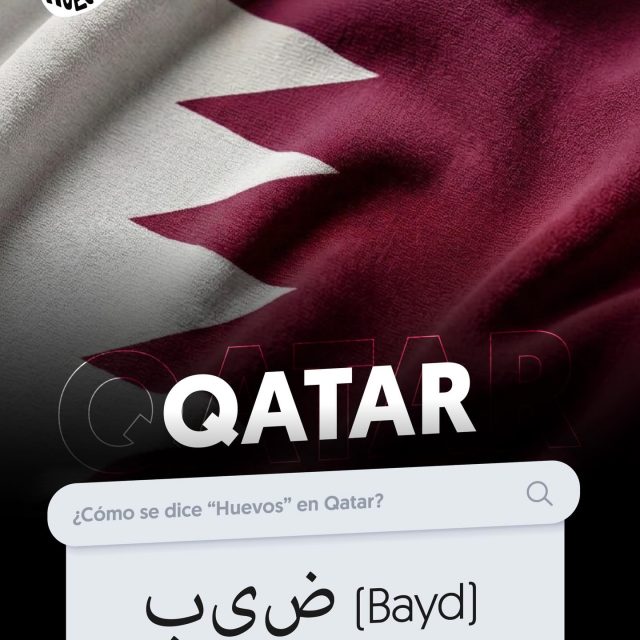 ¿Sabías que Qatar, produce únicamente el 37% de los huevos que consumen? El 63% restante, proviene de 10 países, siendo Turquía el mayor proveedor de huevos frescos 🤓

Jordan, India, Emiratos Árabes Unidos, Ucrania, Países Bajos, España, Polonia, Brasil y Estados Unidos, son los demás proveedores que cubren la demanda de los cataríes.

¿Ya has probado los huevos Shakshuka? Encuentra la receta en nuestro sitio web www.conhuevos.com.sv

😎❤️✨⚽️