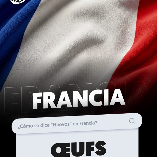 Francia, es el país número 1 en producción de huevos de la Unión Europea 🙌🏼✨🤩🍳
Cada francés consume al año alrededor de 235 huevos 🍳 😋