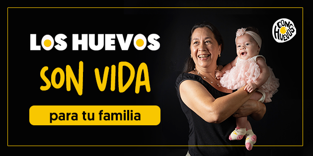 BANNER-FAMILIA