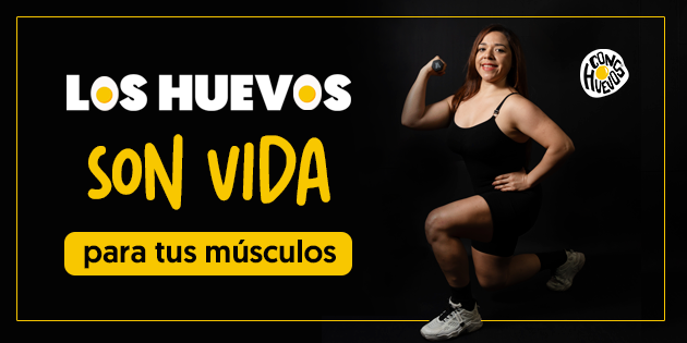 BANNERS-MUSCULOS
